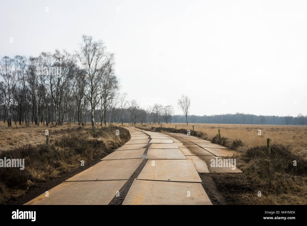 Temporäre Straße von aufgrund der Natur der Wiederherstellung im Naturschutzgebiet Eisen Platten "De Peel" in den Niederlanden Stockfoto