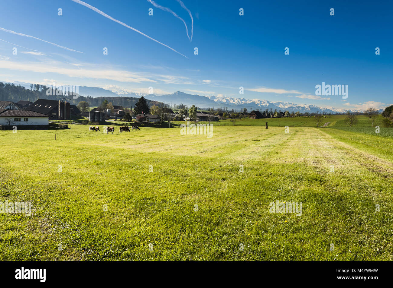 Tierhaltung in der Schweiz Stockfoto Tierhaltung in der Schweiz Stockfoto