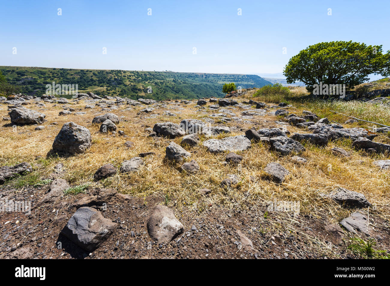 Gamla Naturschutzgebiet Stockfoto