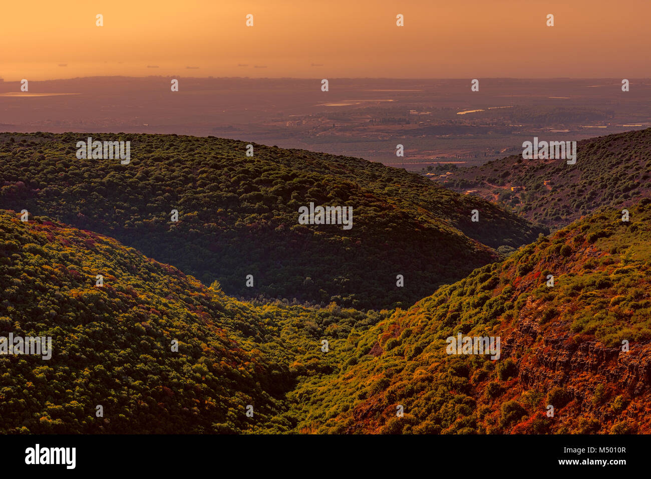 Luftaufnahme der Berge von Galiläa in Israel. Stockfoto