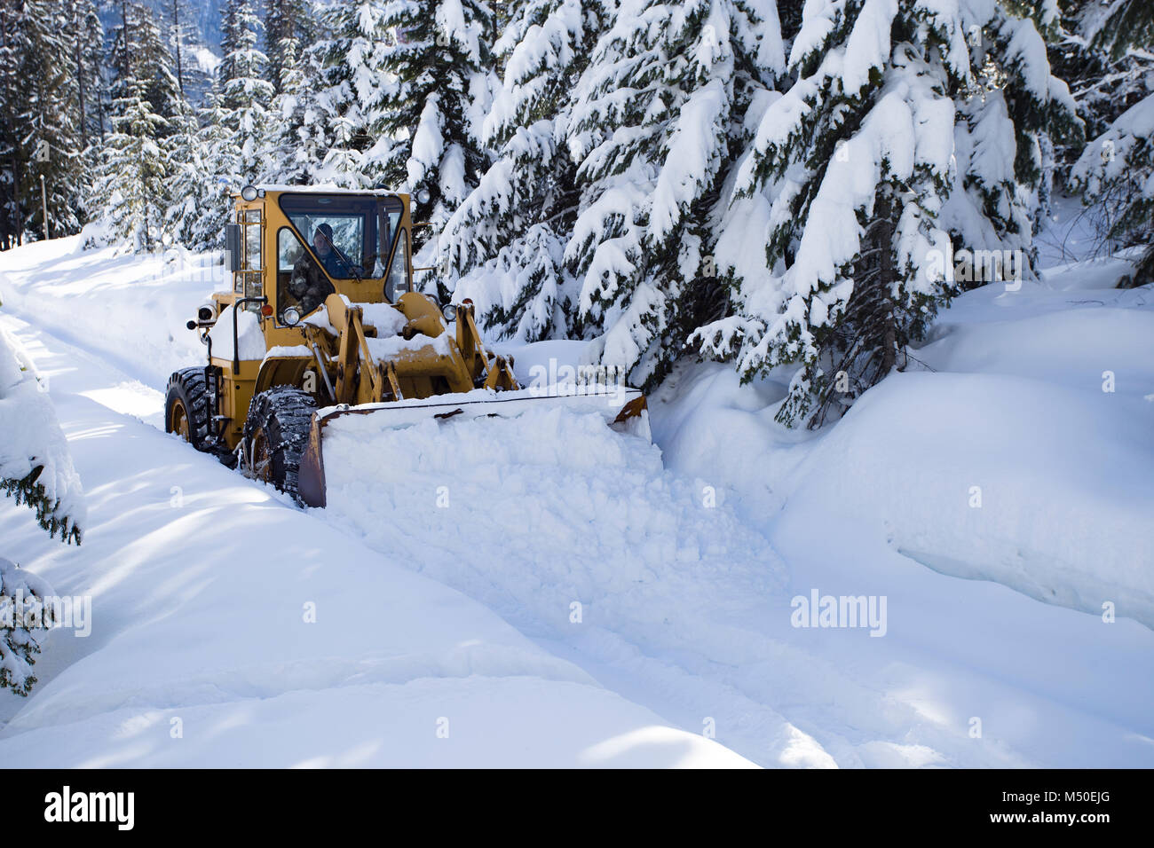 Noxon, Montana, USA. 19. Februar, 2018. Snow event. Ein Caterpillar 950 mit Gummibereifung artikuliert Lader Schneeräumen auf einem Berg Straße nördlich des Noxon, in Sanders County Montana. Der Lader wird von delbert Bowe von Libby, Montana betrieben. Die Straße ist in einem abgelegenen Teil des Schrankes Bergen, etwa 20 km nördlich von Noxon, Montana. Die Gegend war mit schweren Schnee, die aus dem Westen über das Wochenende kam, das mehrere Tage dauerte und Gedumpten über 20 Zentimeter Schnee in den Höhenlagen. Stockfoto