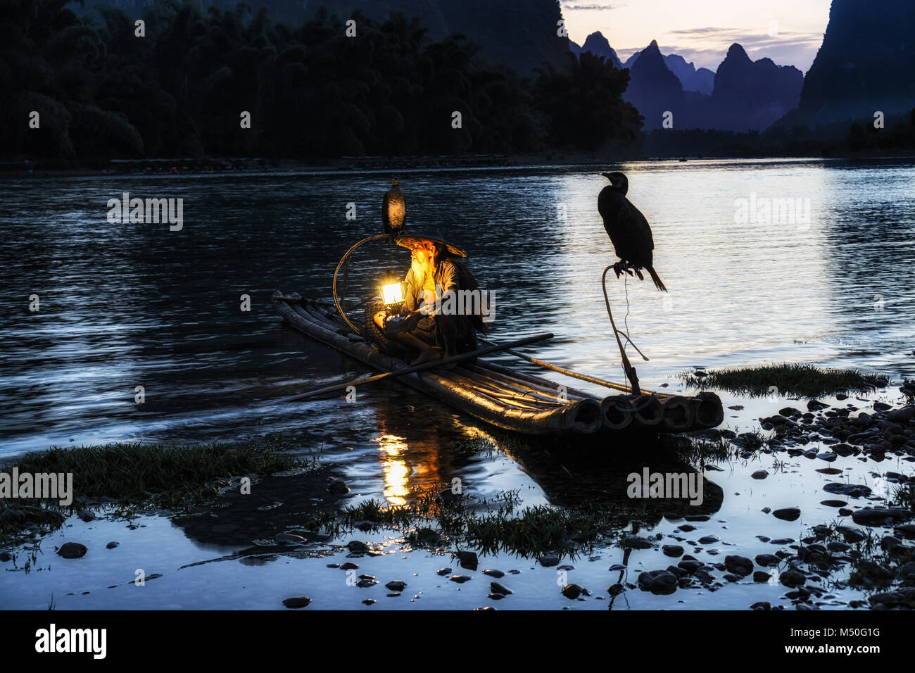 Die cormant Fischer in Li Fluss Stockfoto