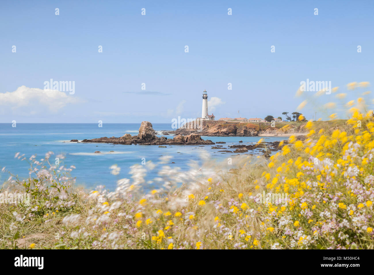 Pigeon Point Lighthouse an einem windigen Frühlingstag, am Leuchtturm konzentrieren, Vordergrund Blumen sind in den Wind. Stockfoto