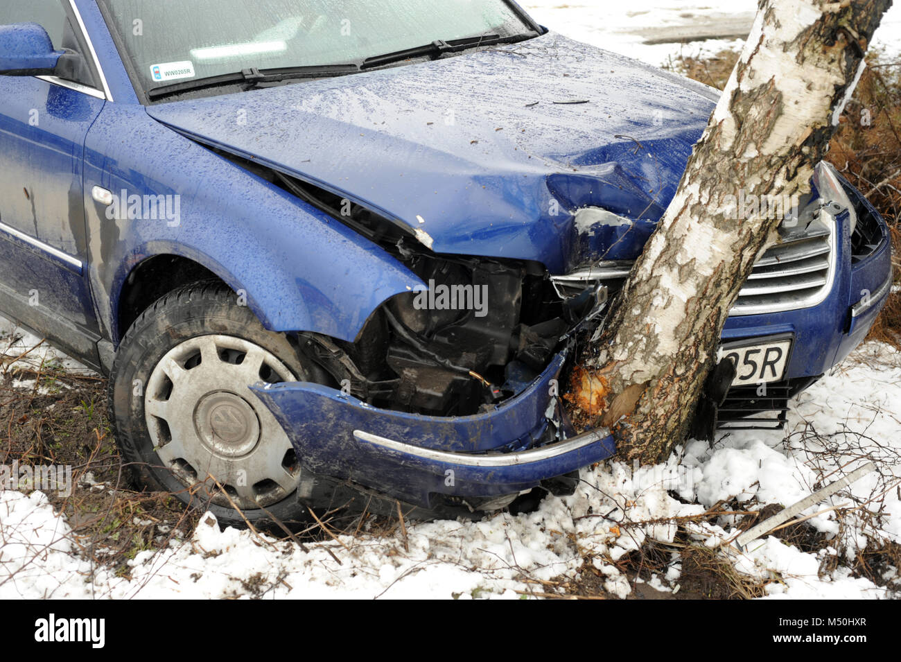 Blaues Volkswagen Passat Limousine stürzte in ein Silber Birke in Polen Stockfoto