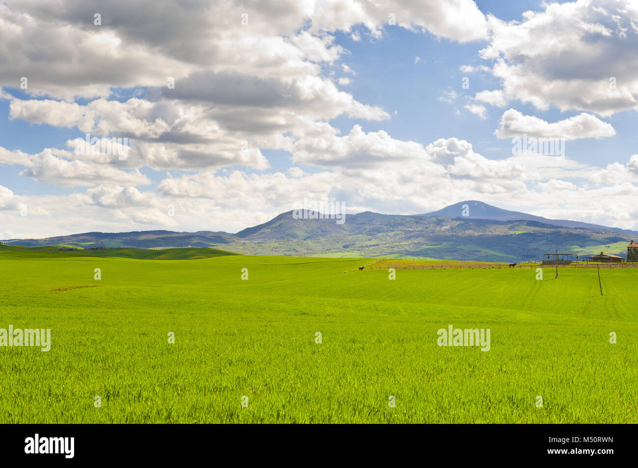 Horse Ranch, Felder und Weiden Stockfoto