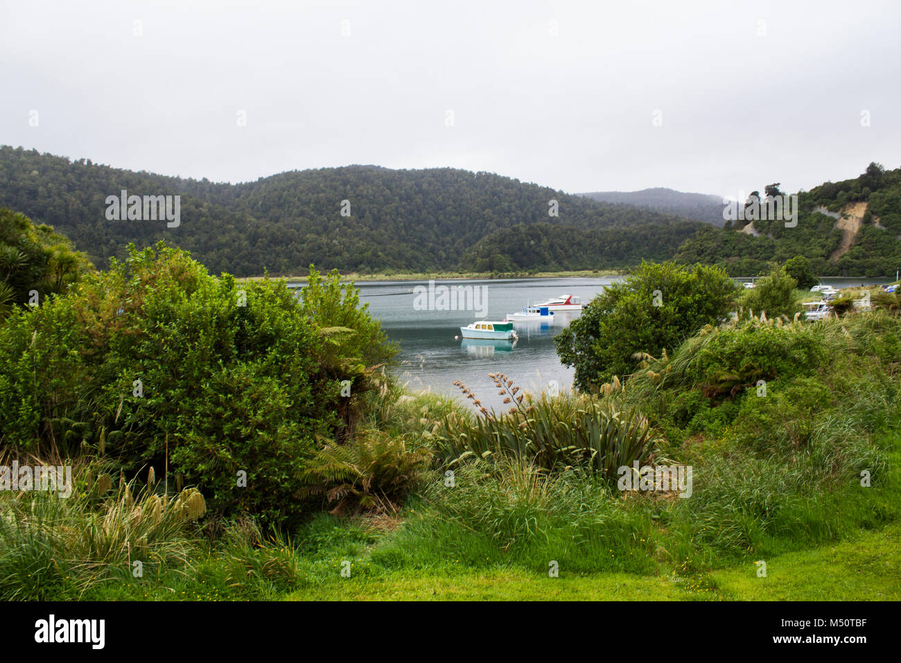 Boote auf dem Fluss im Wald, Neuseeland Landschaft Stockfoto