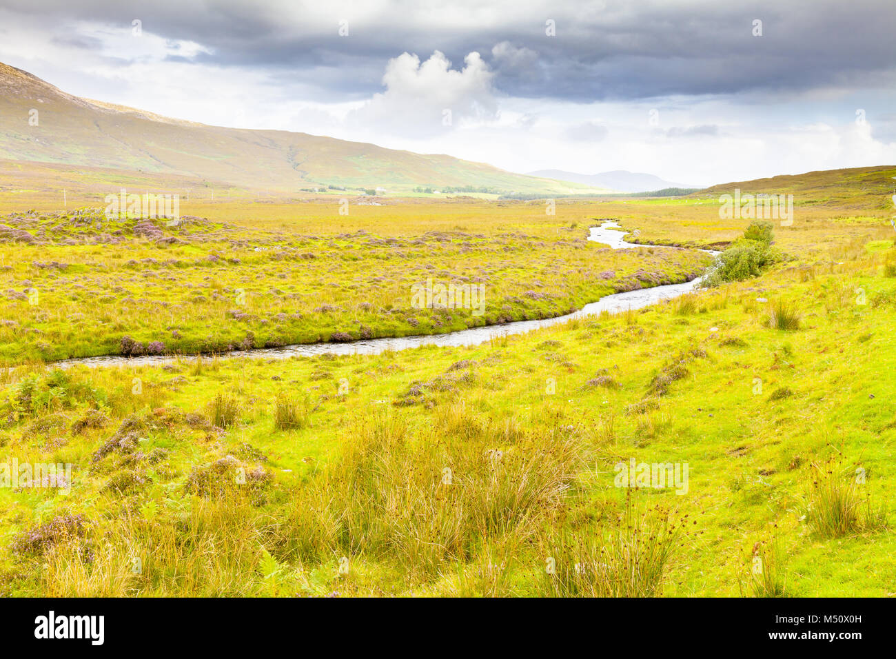 Skye Insel Panorama mit Creek Schottland im Sommer Stockfoto