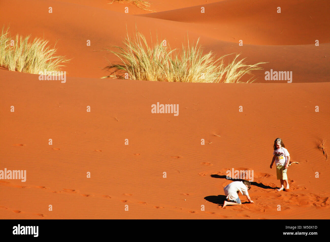 Zwei Kinder (Model Released) spielen auf einer Düne in der Namib Wüste Stockfoto