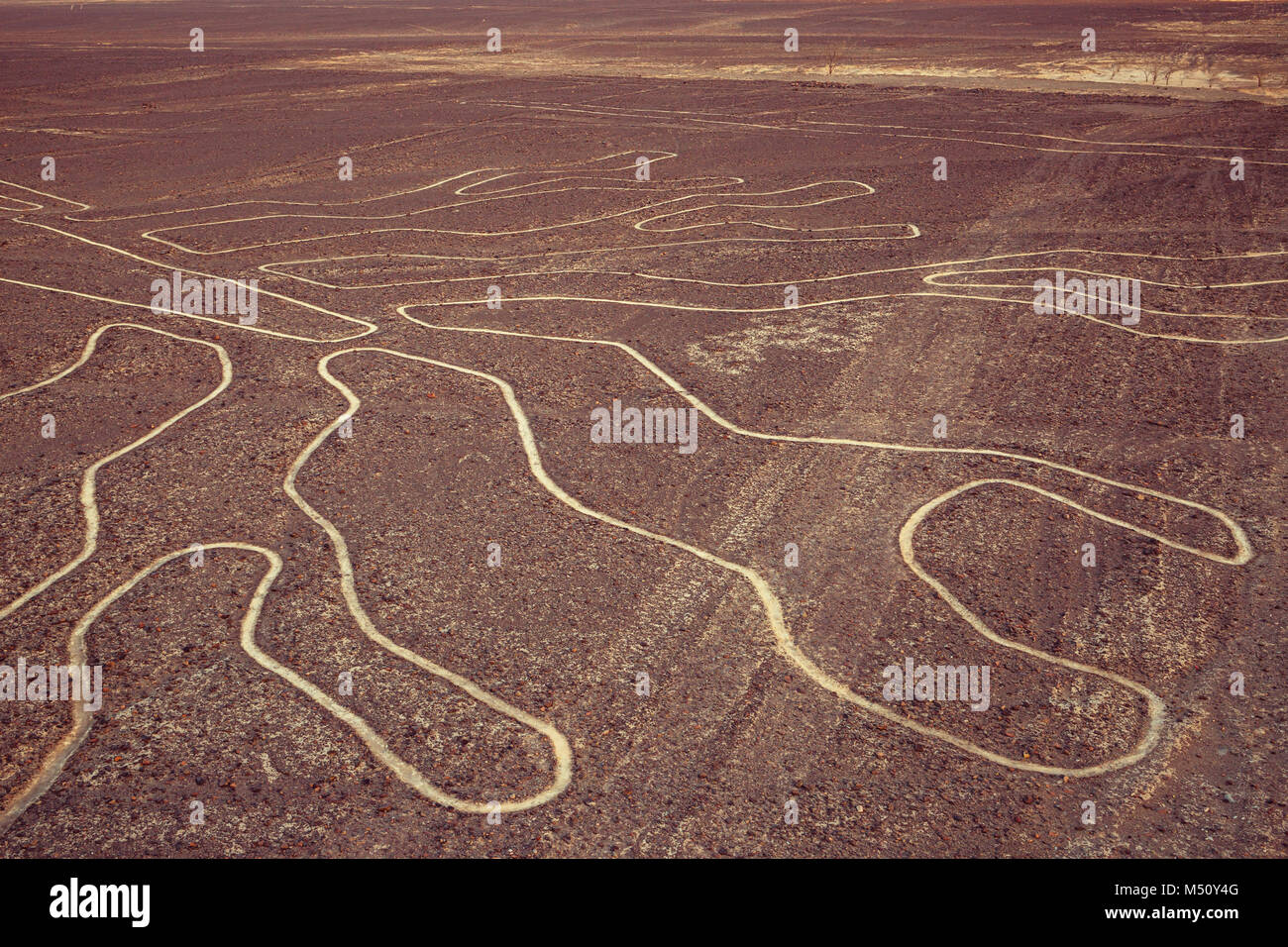 Nazca Stockfoto