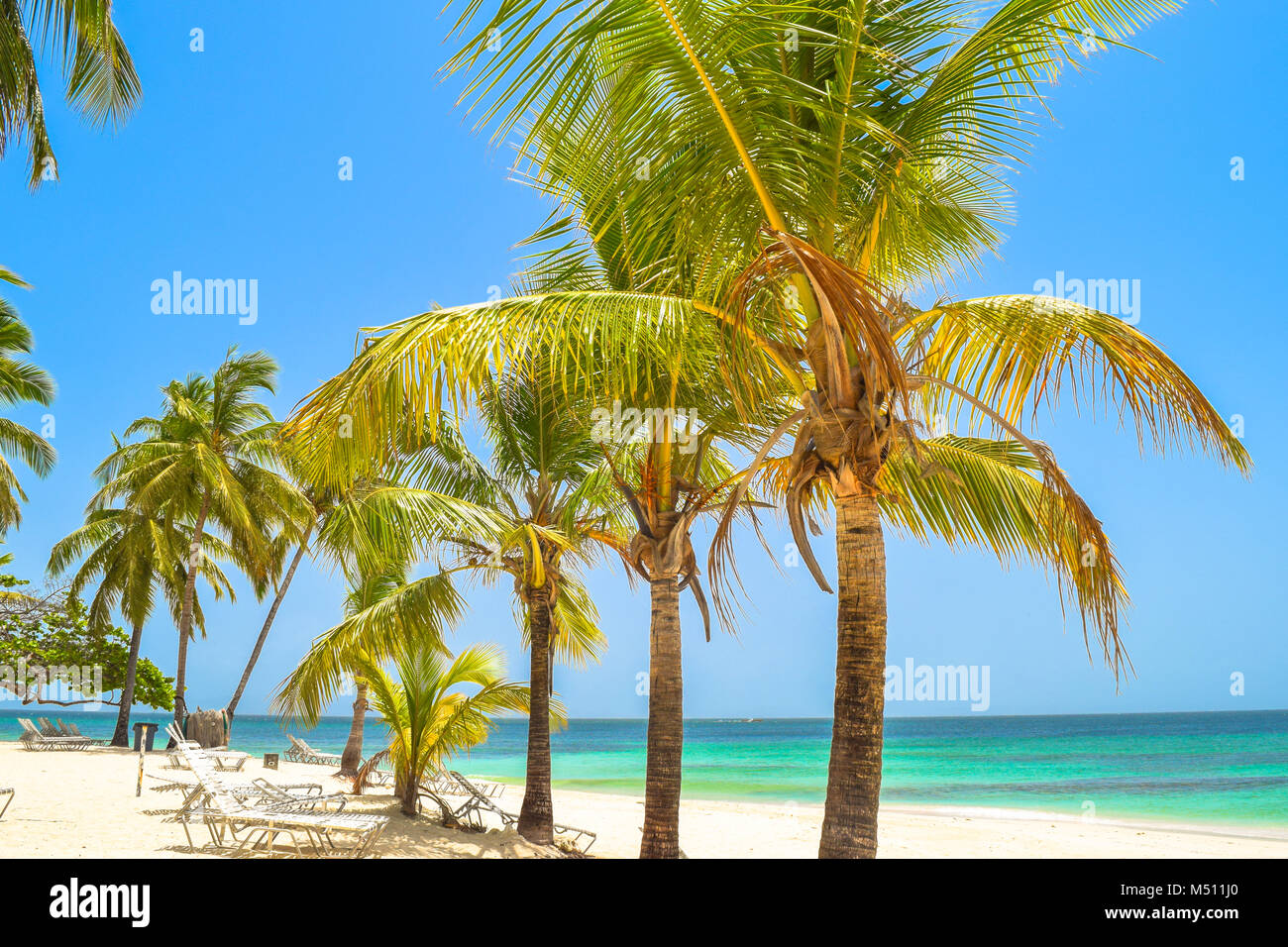 Schöner Strand mit Palmen, Sonnenliegen, blauer Himmel und türkisfarbenem Wasser, der Dominikanischen Republik, Samana, kleine Insel im Karibischen Meer Stockfoto