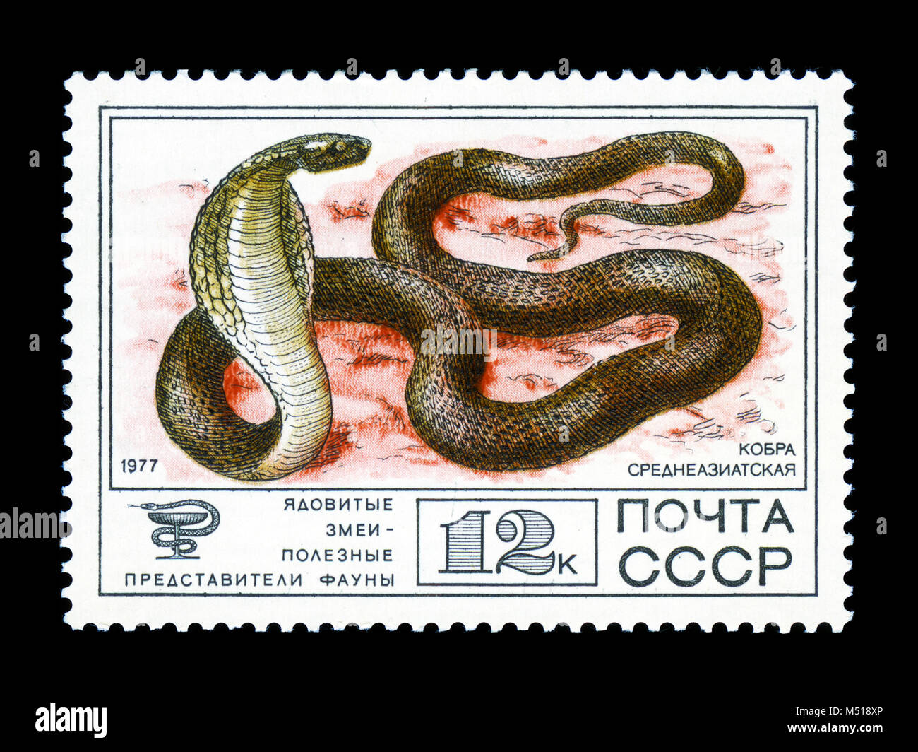 UKRAINE - ca. 1977: ein Stempel Blatt in der UDSSR gedruckten zeigt Naja oxiana, Sammlung von geschützte Fauna der UDSSR, giftige Schlangen, Serie, ca. 1977 Stockfoto