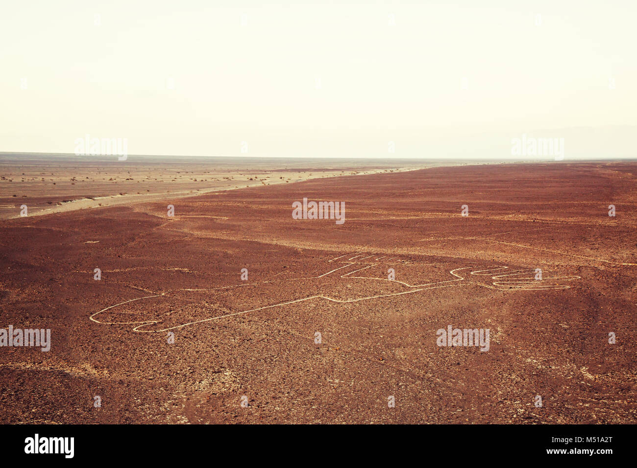 Nazca Stockfoto