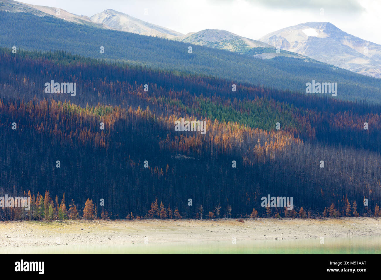 Farben Banff National Park Kanada Stockfoto