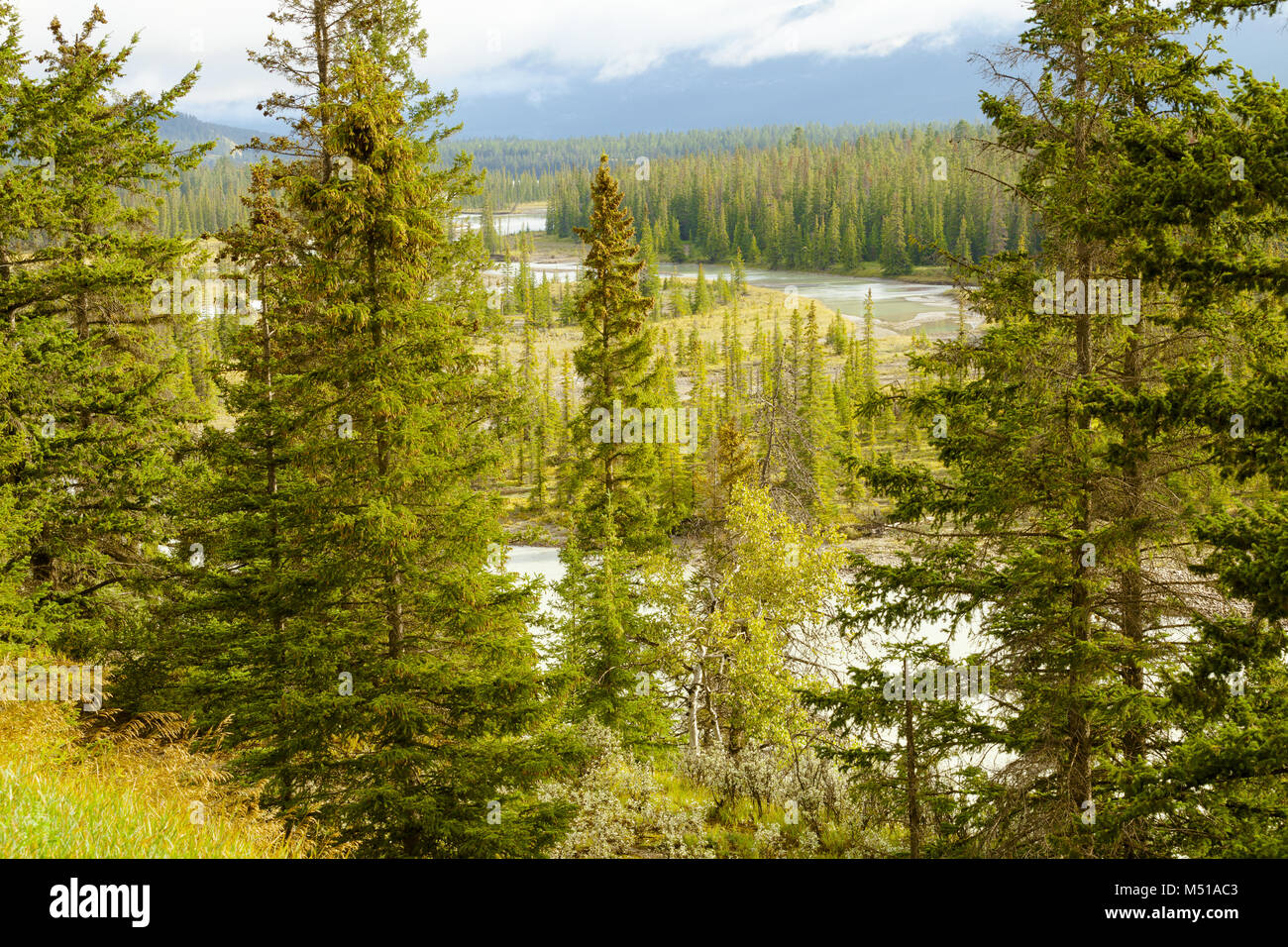 Banff National Park West Kanada Stockfoto