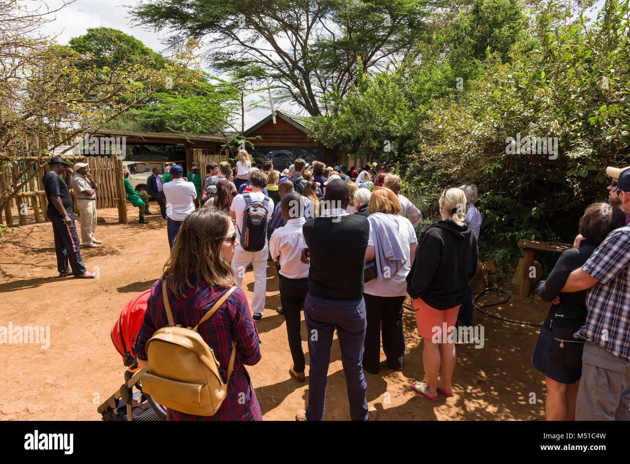 Touristen in der Warteschlange der David Sheldrick Wildlife Trust Elefanten Waisenhaus in Nairobi, Kenia eingeben Stockfoto