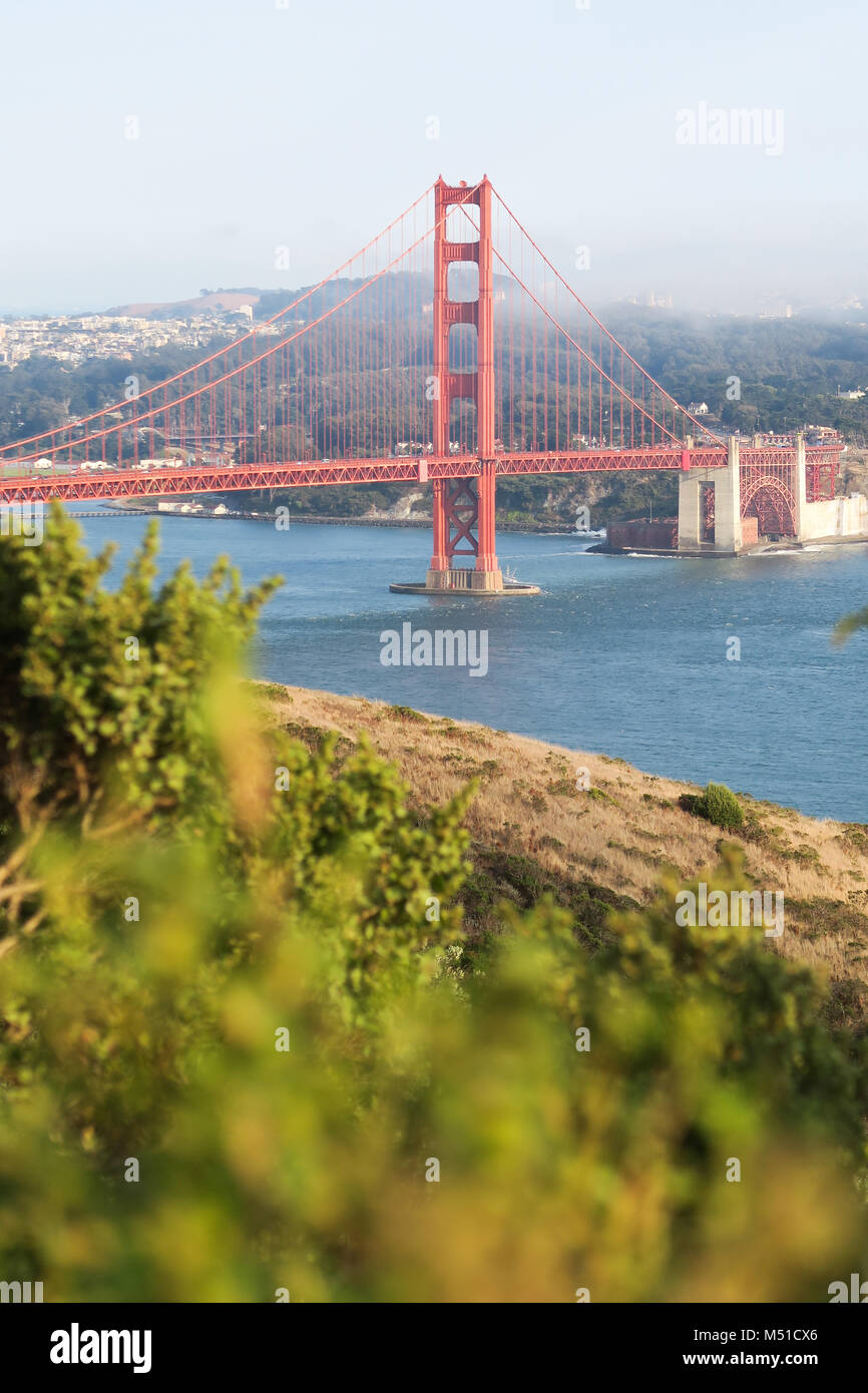 San Francisco Vibes Stockfoto