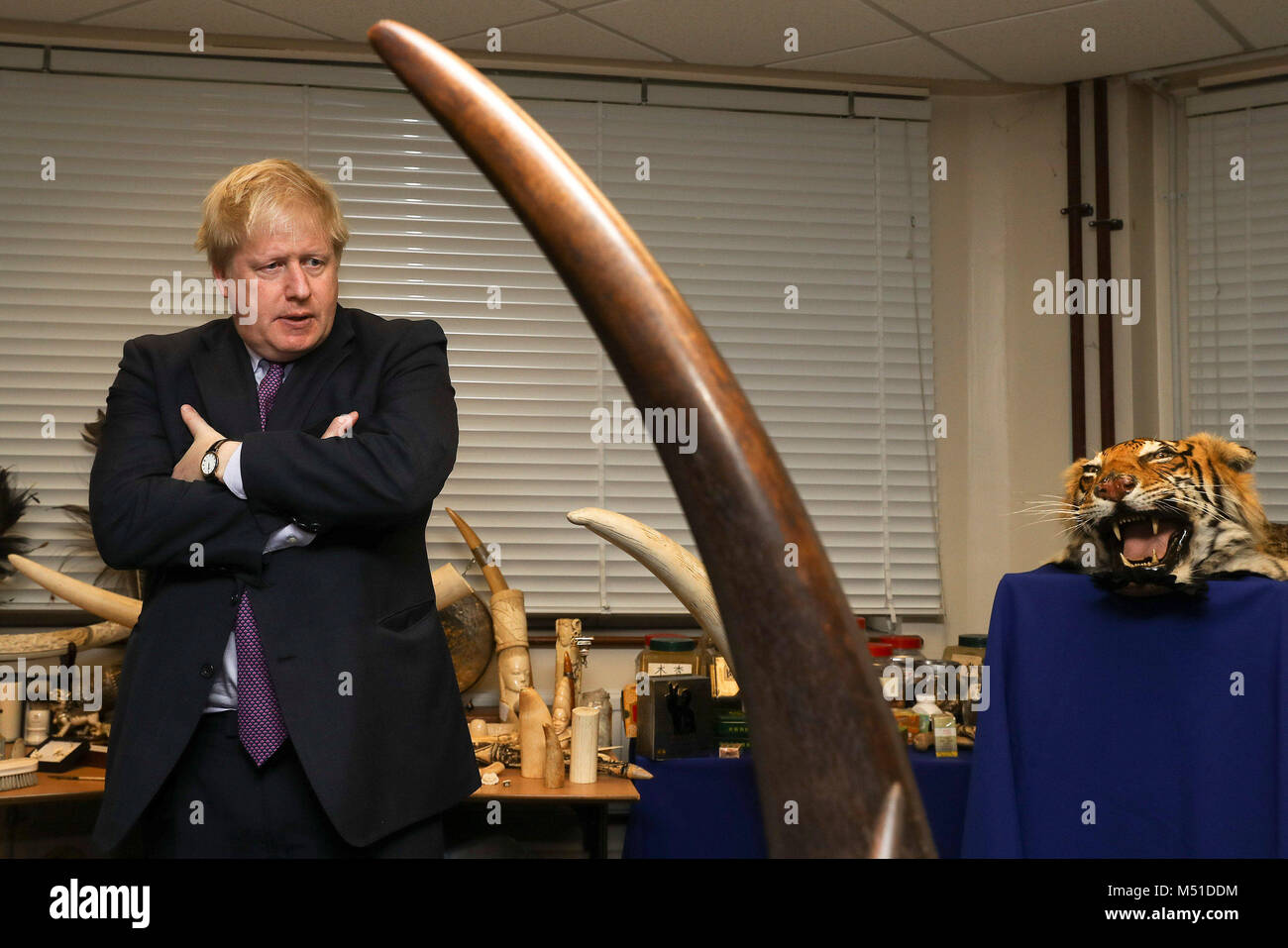 Außenminister Boris Johnson neben einem Beschlagnahmten Tigerfell Teppich und Rhinozeroshorn bei seinem Besuch in einem Metropolitan Police Wildlife Crime Unit Werk im Süden Londons, mehr über die Arbeit, die sie international zu den illegalen Handel mit wildlebenden Tier- und Pflanzenarten (IWT) als Teil einer Reihe von geplanten Aktivitäten das Bewusstsein, die sie im Vorfeld der illegale Handel mit wildlebenden Tier- und Pflanzenarten Konferenz das Außenministerium zu heben Meistern zu lernen, sind Hosting später dieses Jahr. Stockfoto