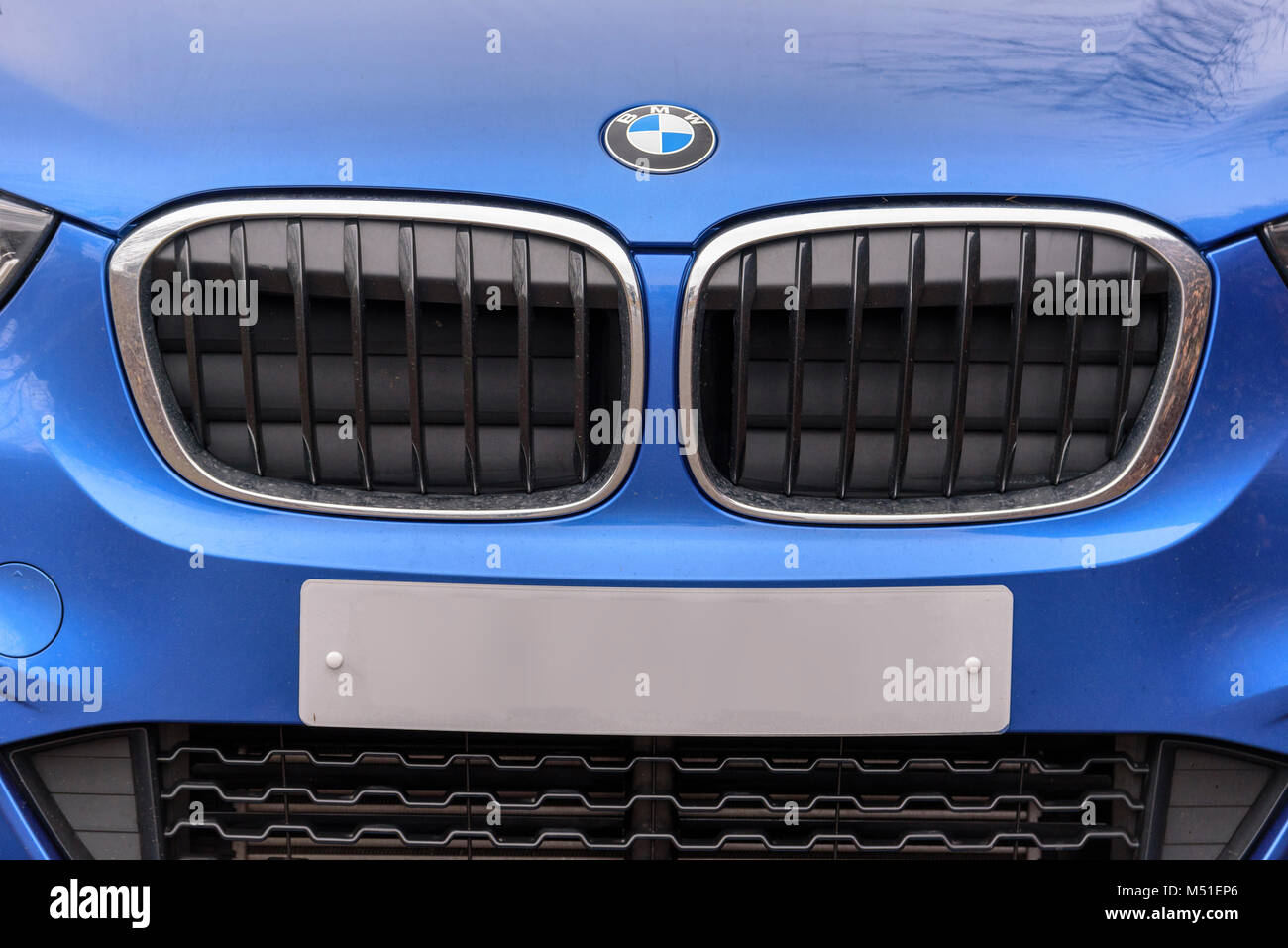 BMW Marke nierenförmige Kühlergrill. Stockfoto
