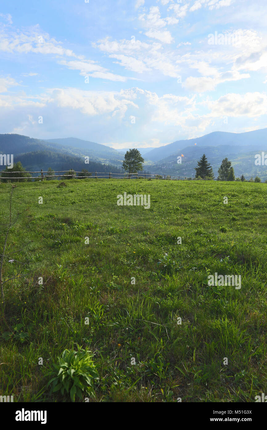 Die Berge, Glanz, Tag, Vertex, Morgen, wunderbar, Reise, Straße, Zaun, Heu, Baum, Fichte, Wald Stockfoto