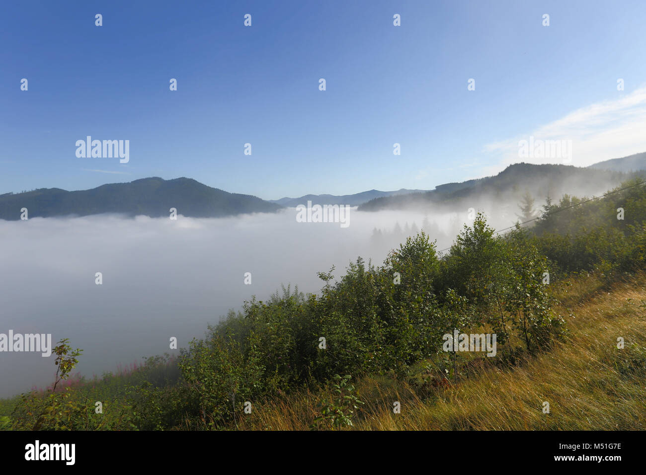 Reisen, Landschaft, Nebel, Dunst, Morgen, Berge, Bäume, Wald, Himmel, Wald, in den Bergen Stockfoto