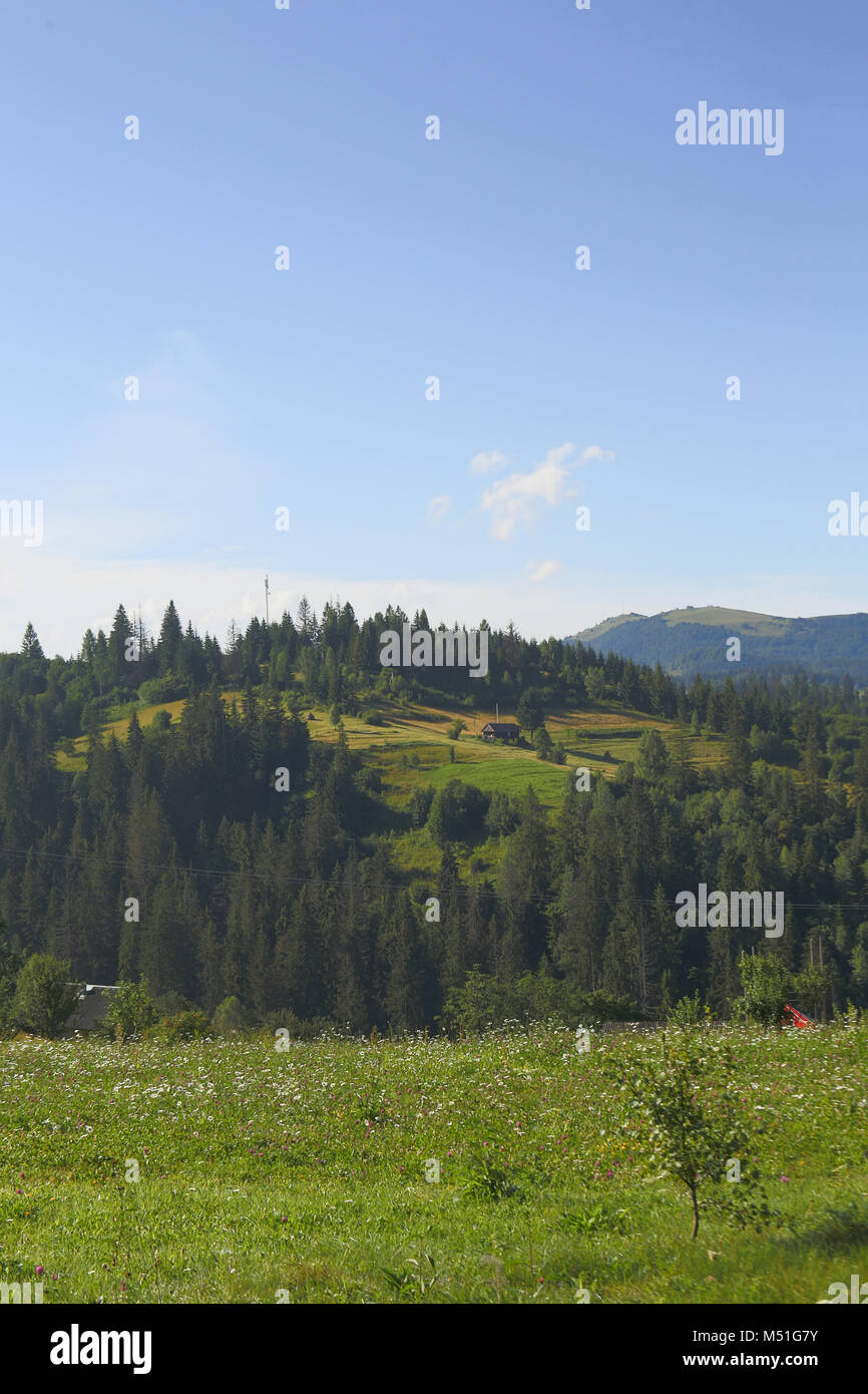 Die Berge, Bäume, Wald, Haus, Feld, Heu, Blumen Vektor, Blumen, Abstieg, zakhar Berkut, klaren Himmel Sonne, klarer Himmel, klar, Himmel, Liebe, Kiefern Stockfoto