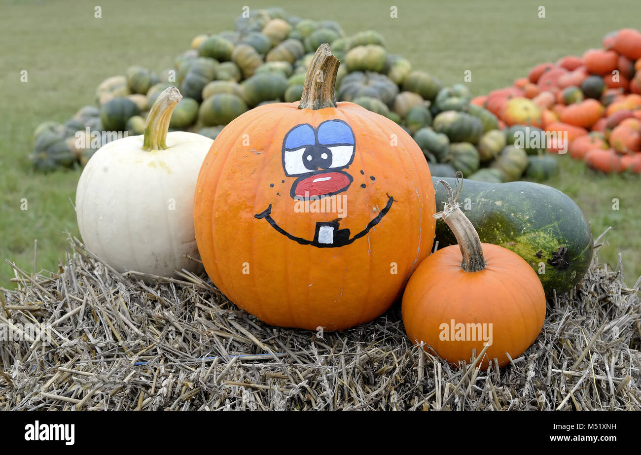 Kürbis mit creepy Gesicht Stockfoto