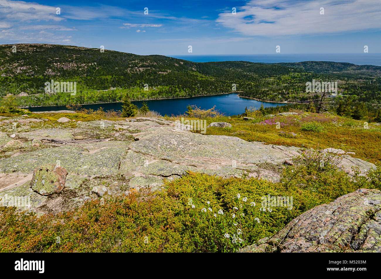Jordan Teich ist ein Oligotrophen Tarn in Acadia National Park in der Nähe der Stadt Bar Harbor, Maine. Er umfasst 187 Hektar, mit einer maximalen Tiefe von 150 Fuß Stockfoto