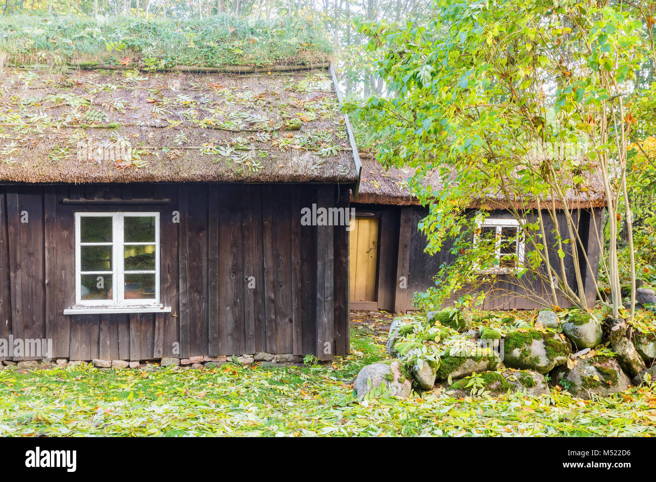 Alte Holzhaus mit Strohdach Stockfoto