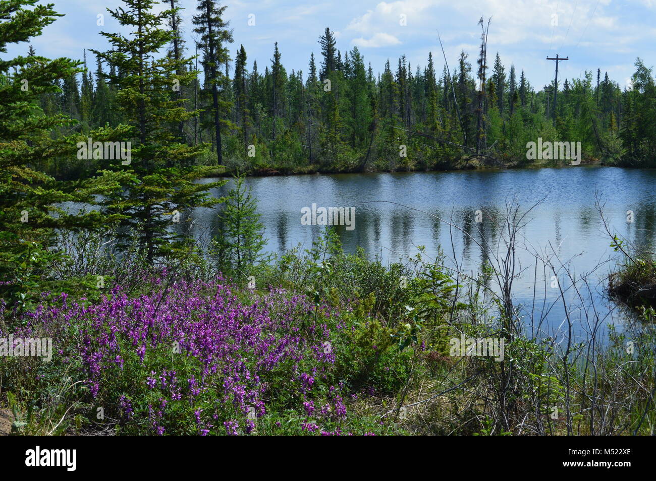 Darüber hinaus Nördlich von 60Th Parallel, Nördliche Landschaft in der Nähe von Yellowknife Stockfoto