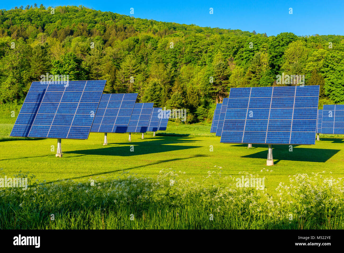 Solar Panels in Feld in Vermont, USA Stockfoto