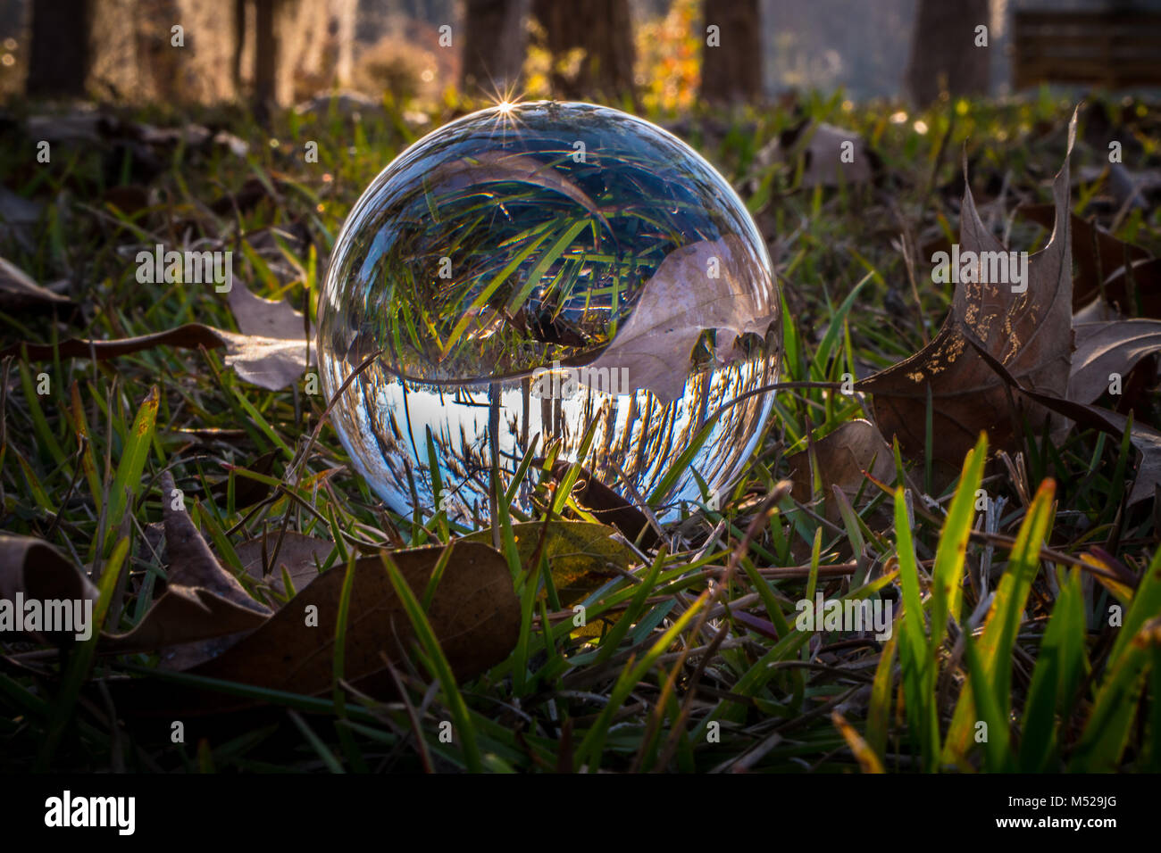 Objektiv Ball im Gras Stockfoto