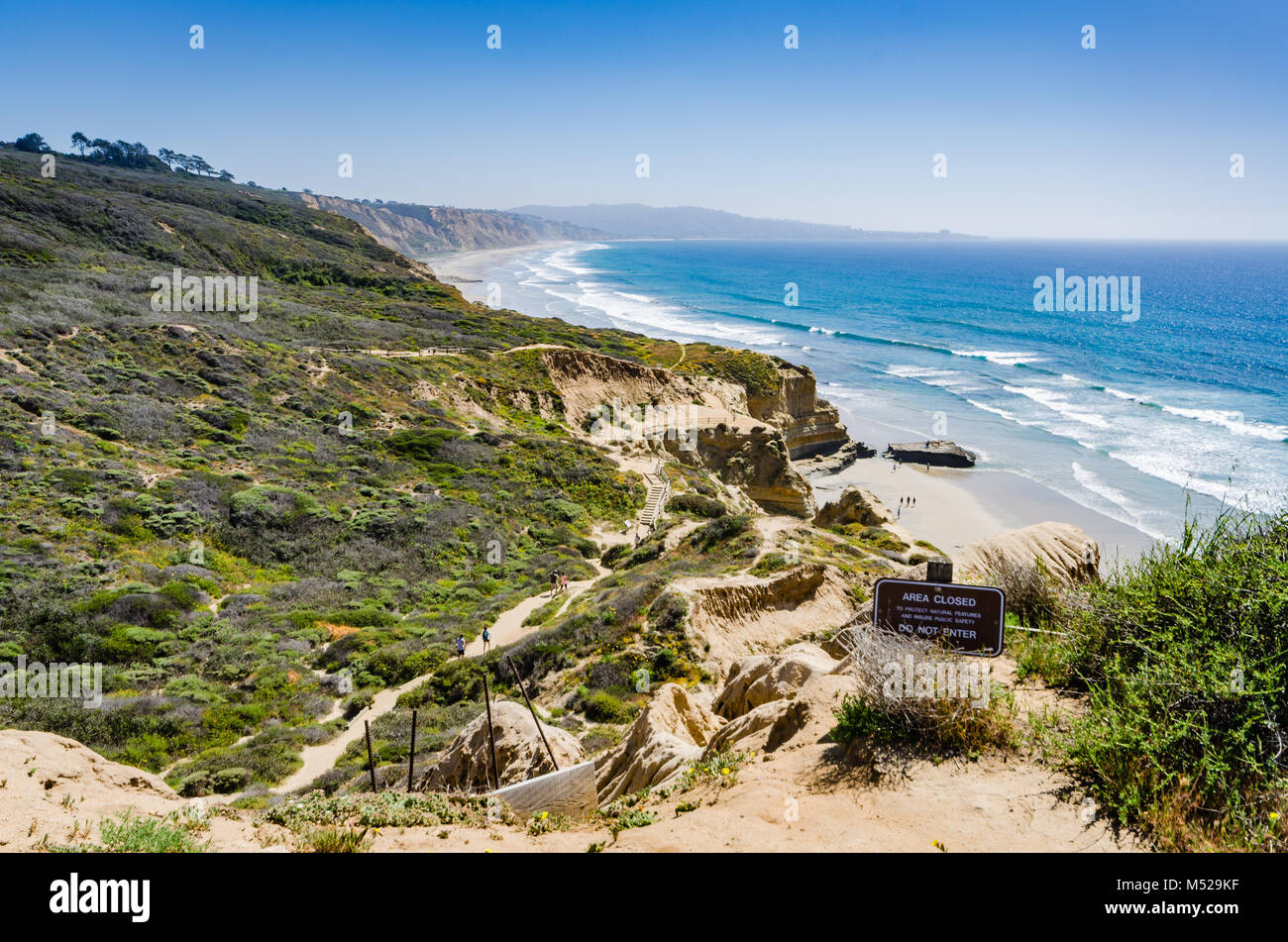 Torrey Pines State Naturpark, in San Diego City Limits befindet, bleibt eine der wildesten Landstriche auf unserer südlichen Kalifornien coa Stockfoto