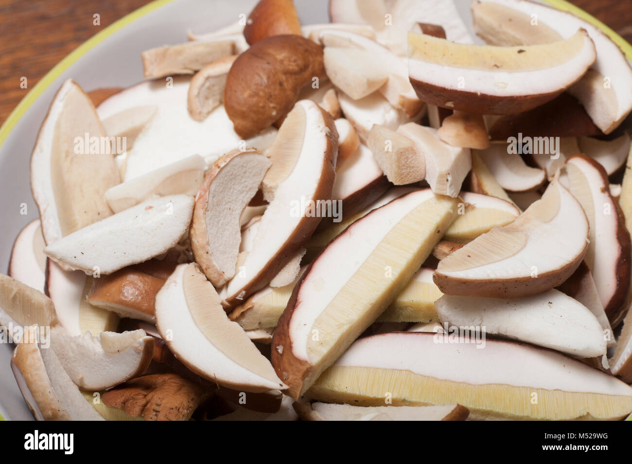 Cep oder Penny bun Pilze in Scheiben geschnitten, studio Bilder. Hampshire England UK GB Stockfoto