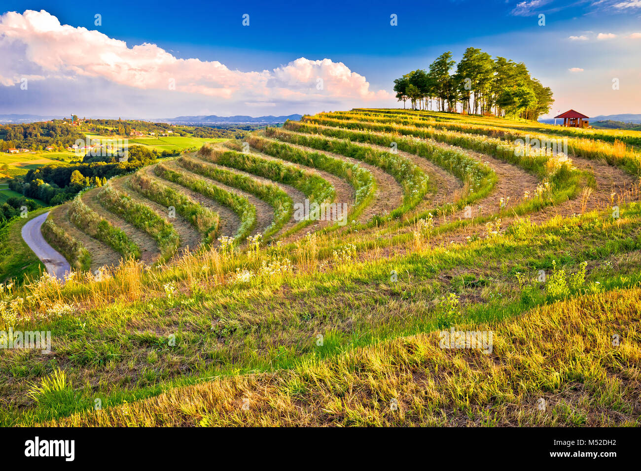Terrassierten hügel landschaft in Medjimurje Aussicht, im Norden Kroatiens Stockfoto