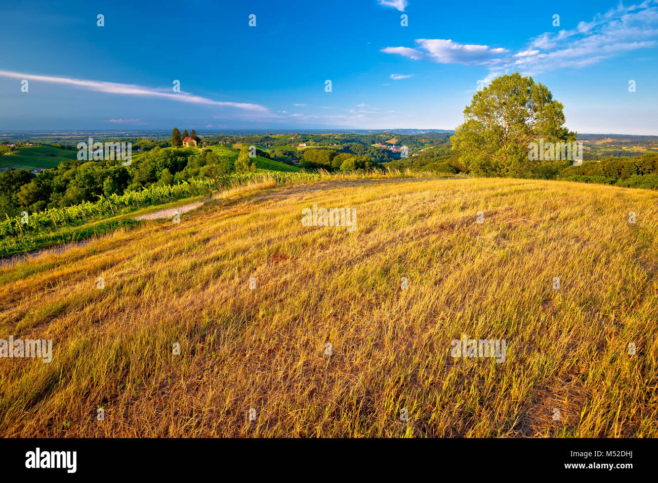 Grüne Landschaft der Region Medjimurje Blick vom Hügel, im Norden Kroatiens Stockfoto