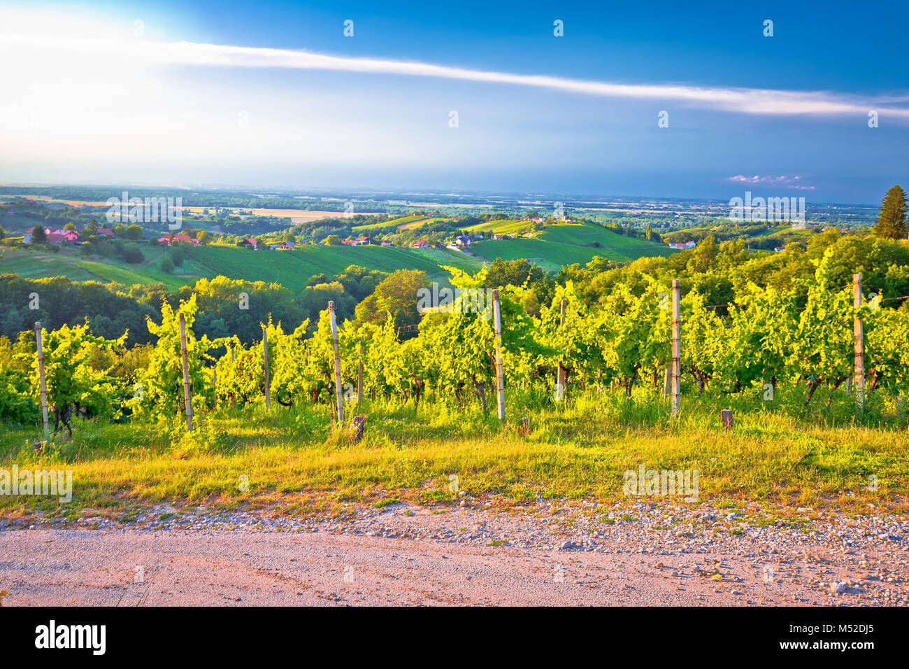 Weinberge und grüne Landschaft der Region Medjimurje Blick vom Hügel, im Norden Kroatiens Stockfoto