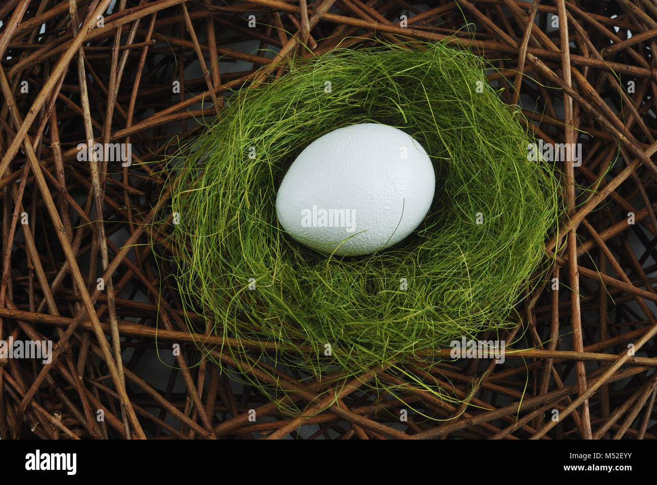 Ei im Nest über Zweigniederlassungen Stockfoto