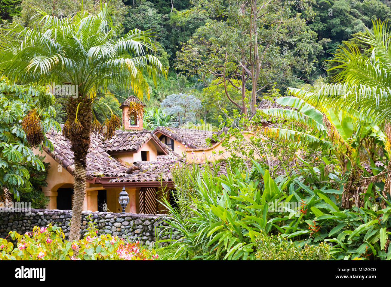 Boquete Valle Escondido Haus im Dschungel Stockfoto