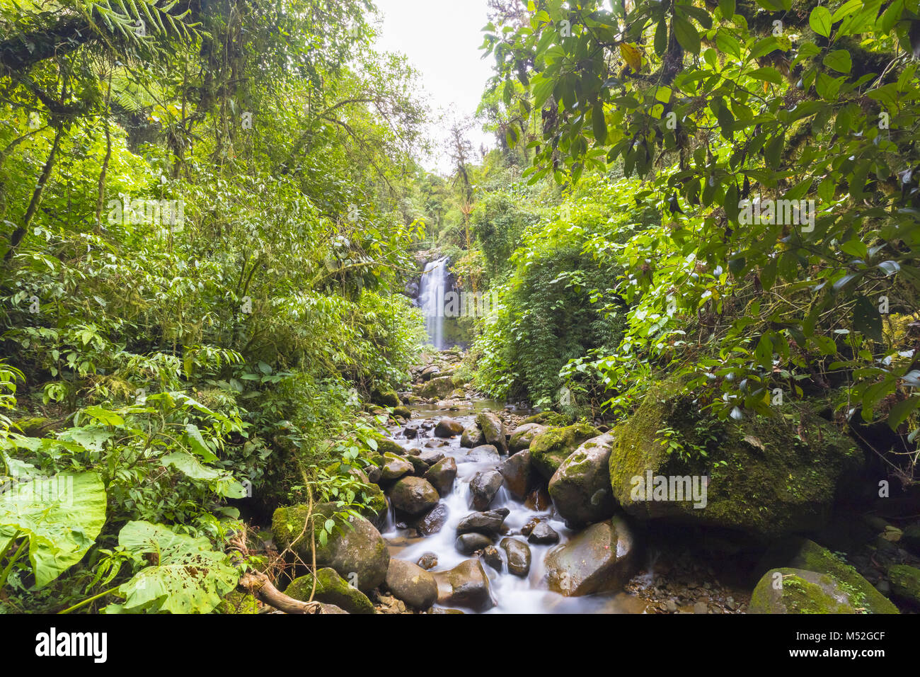 Verloren Wasserfall boquete Panama Stockfoto