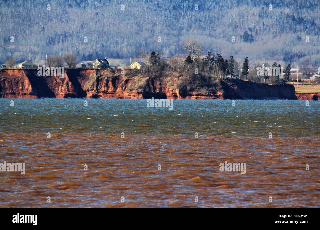 Kingsport, Erosion, Bucht von Fundy, Annapolis Valley, Nova Scotia, NS, Kanada Stockfoto