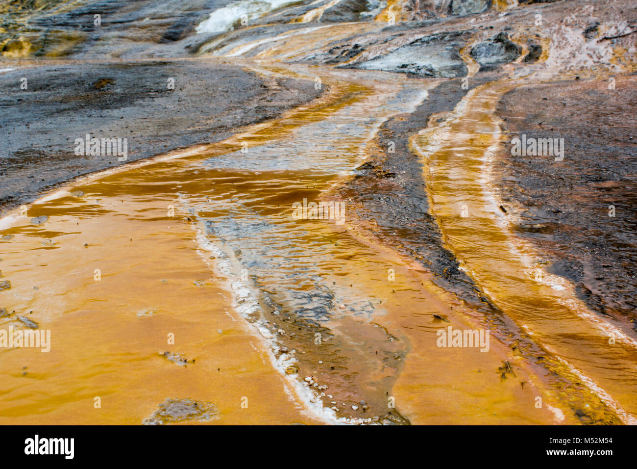 Emerald Silica Terrasse, Hot Springs, Orakei Korako geothermischen Park, Neuseeland Stockfoto