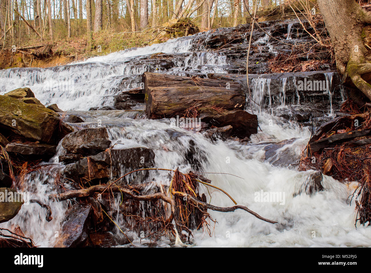 Wasser Kaskadierung über Felsen und Protokolle im Alabama backwoods Stockfoto