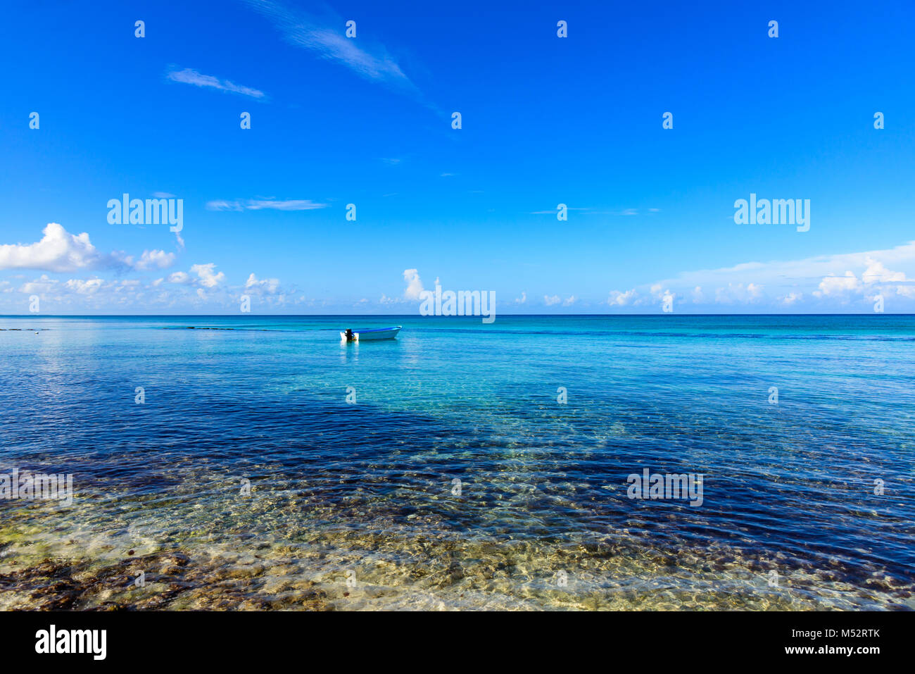 Paradise tropical beach palm Karibik Dominikanische Republik Stockfoto