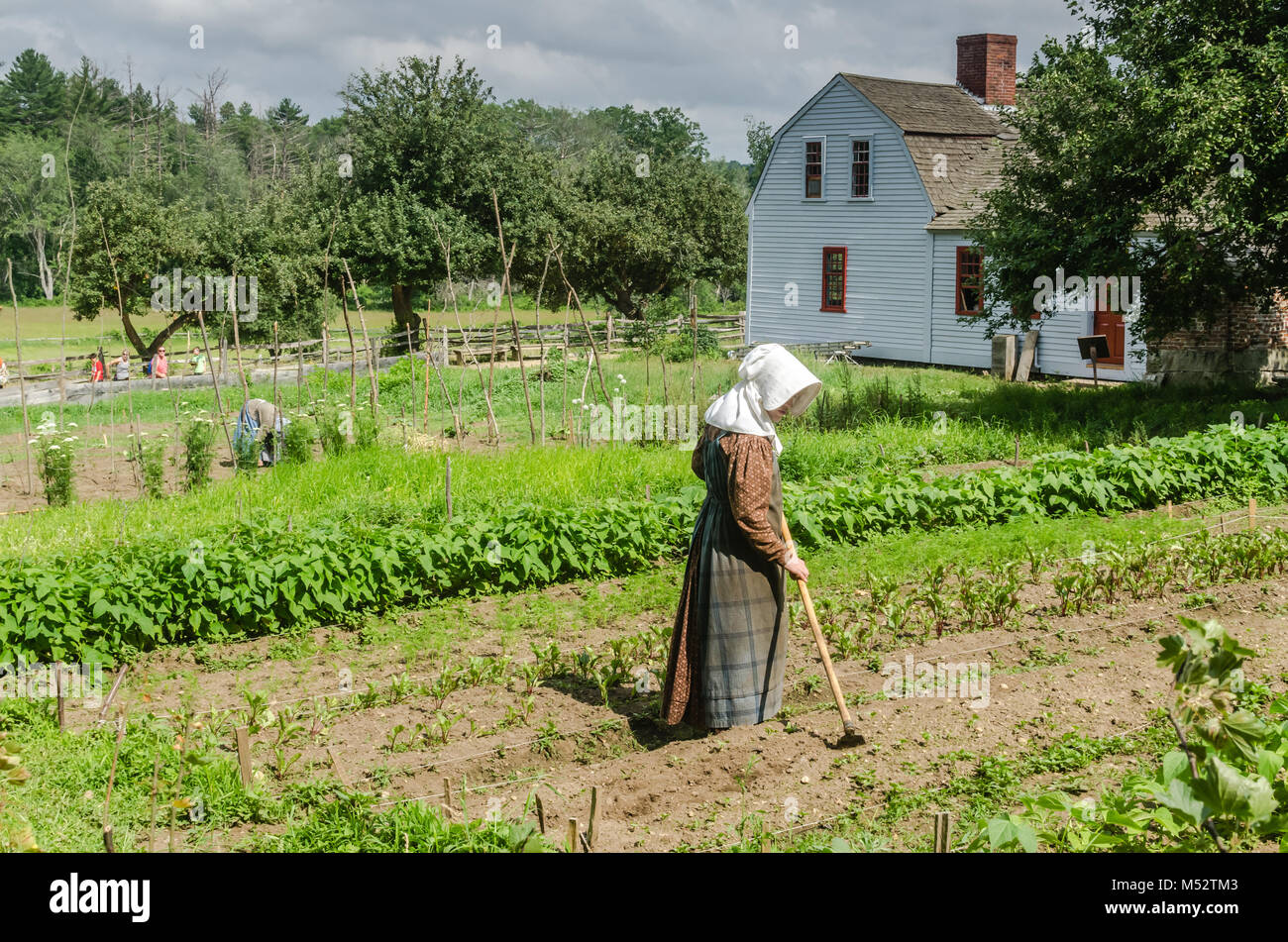 Colonial bewirtschaften an Old Sturbridge Village, ein lebendes Museum in Sturbridge, MA, die re-schafft Leben im ländlichen New England 1730-1830 s entfernt. Stockfoto