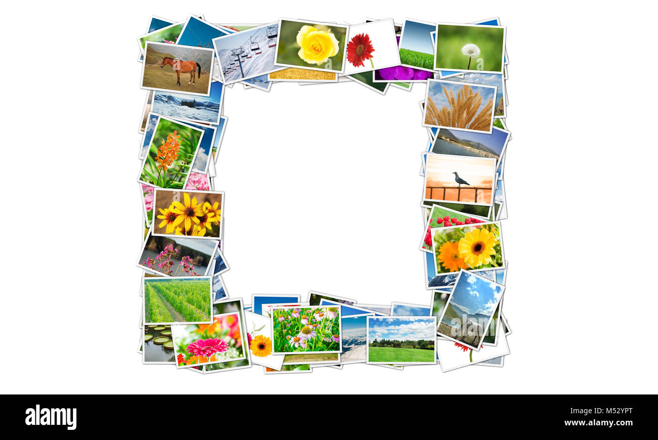 Gestell aus verschiedenen Naturfotos Stockfoto
