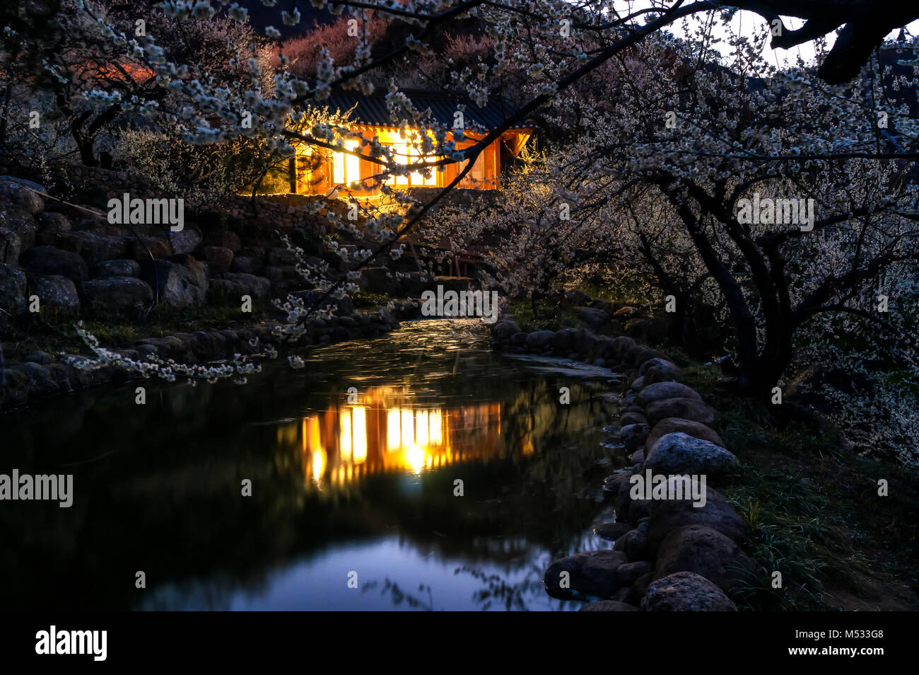 Plum flower Village Stockfoto