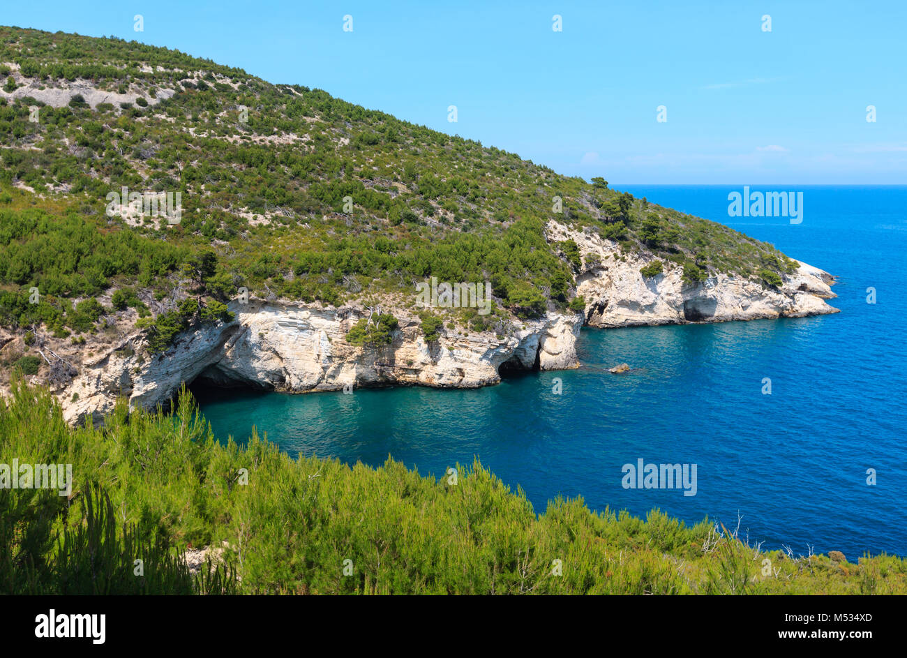 Sommer felsigen Küste, Gargano, Apulien, Italien Stockfoto