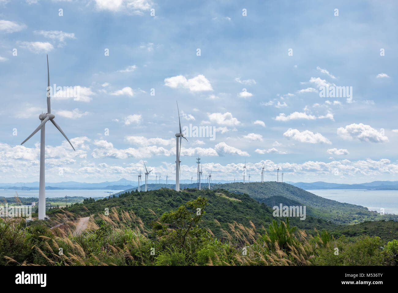 Windpark auf See Stockfoto