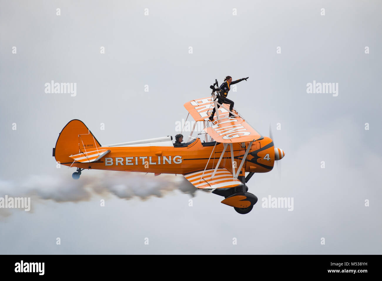 Breitling Flügel Wanderer im Flug. Stockfoto