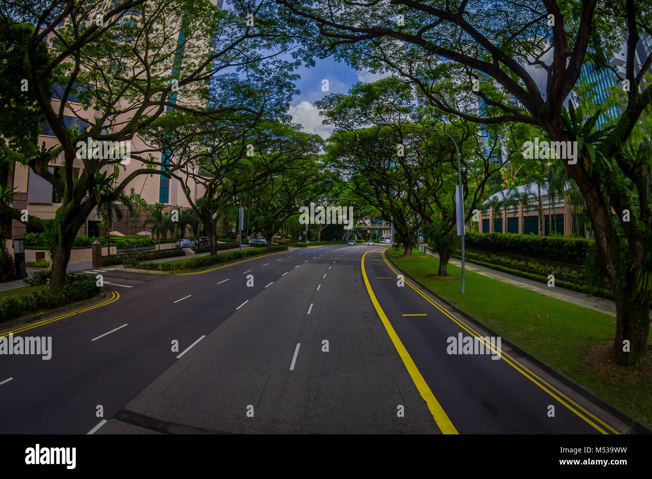 Singapur, Singapur - Januar 30. 2018: Herrliche Aussicht von Autos circuling in einer Straße in der Umgebung der Bäume an öffentlichen Wohngebiet Kondominium Komplex und Downtown Skyline auf Kallang Nachbarschaft in Singapur, Fischaugen-Effekt Stockfoto